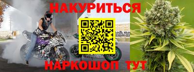 шишки Гай