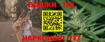 шишки Гай