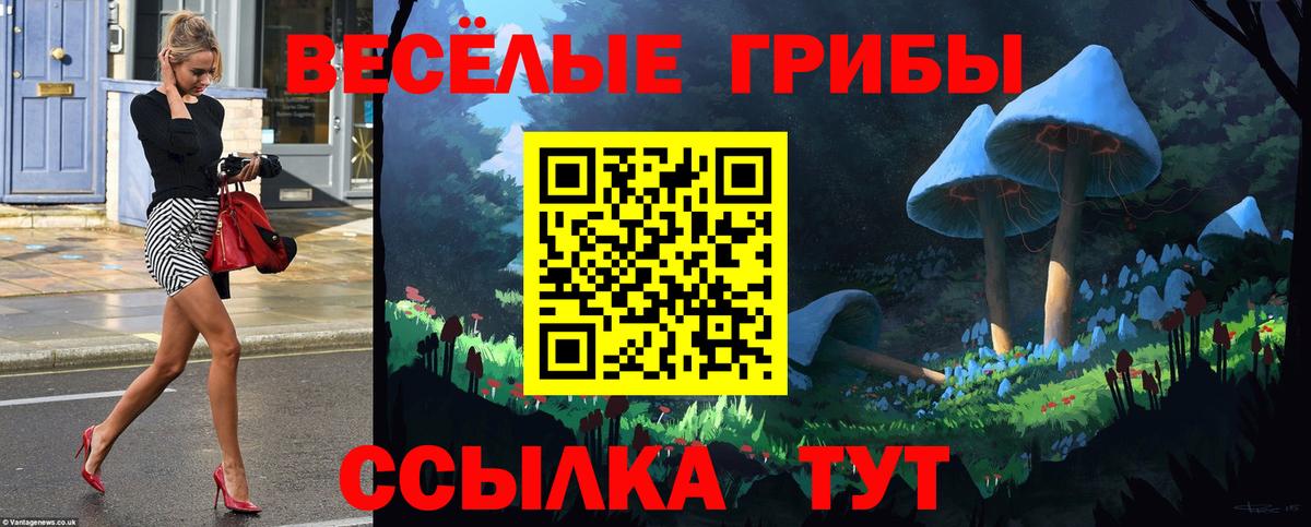 Псилоцибиновые грибы Cubensis Нижневартовск