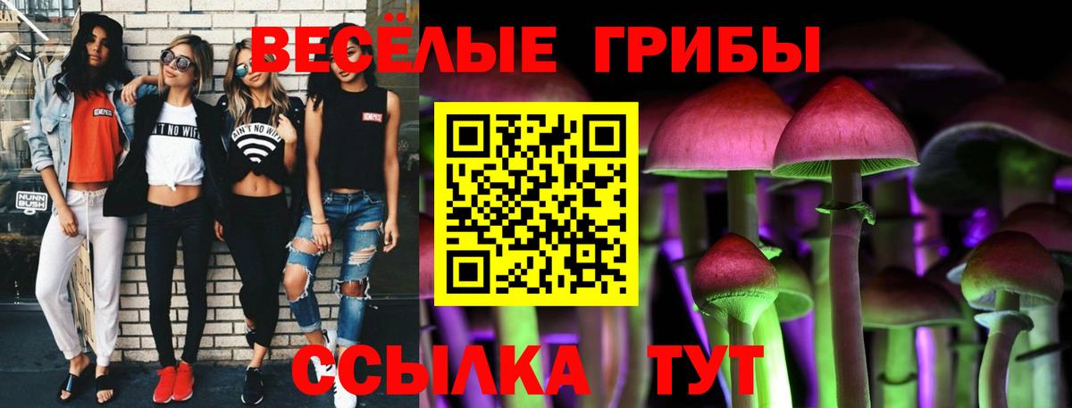 Нижневартовск  Псилоцибиновые грибы Psilocybe  Вход с VPN 